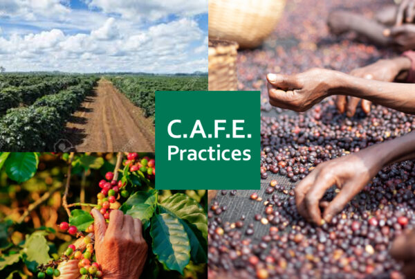 스타벅스의 CAFE Practices